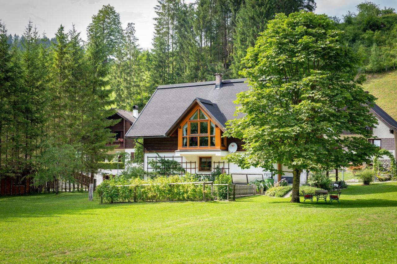 Ferienhaus Goestling Villa Göstling an der Ybbs Buitenkant foto